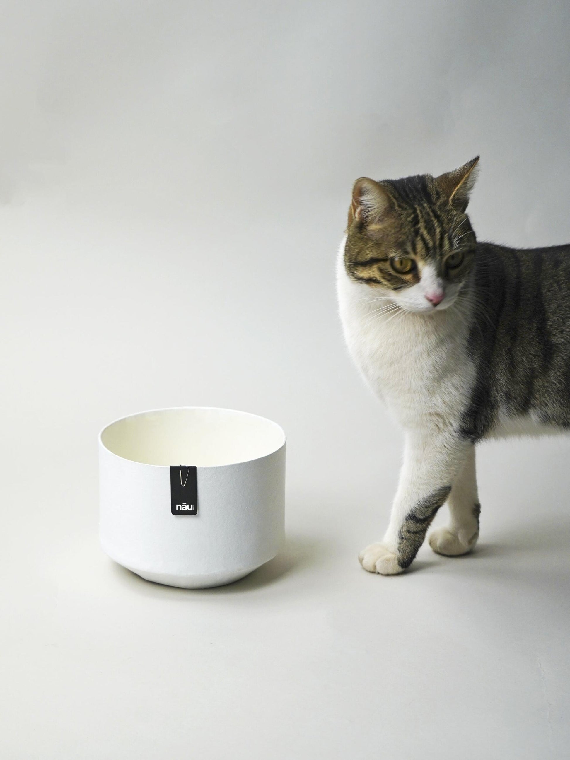 Macetero Ecológico Y Sostenible Alba_2