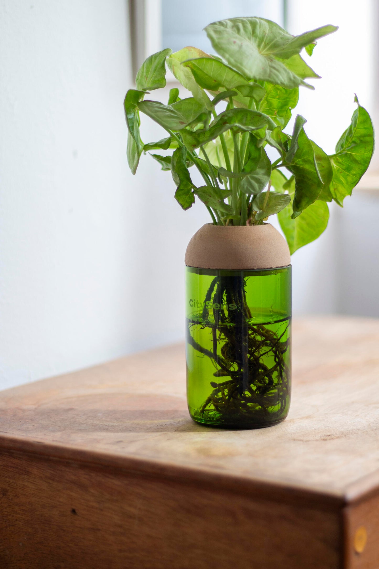 Macetero Transparente Citysens Con Soporte De Pino – Verde, Vidrio Reutilizado Y Biofilamento De Madera 3d_3