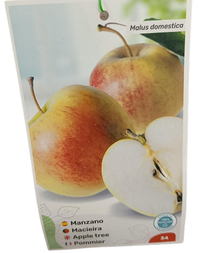 Manzano Royal Galan M25_1