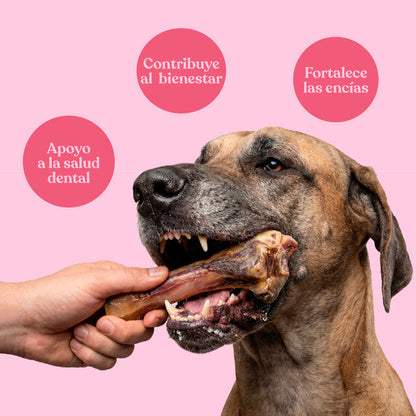 Dos Medios Huesos de Jamón para Perros 500 g dr.bimix