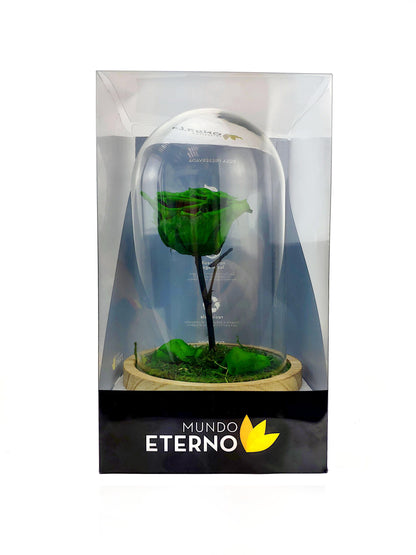 Mundo Eterno Rosa En Cúpula Verde 12x20cm_3