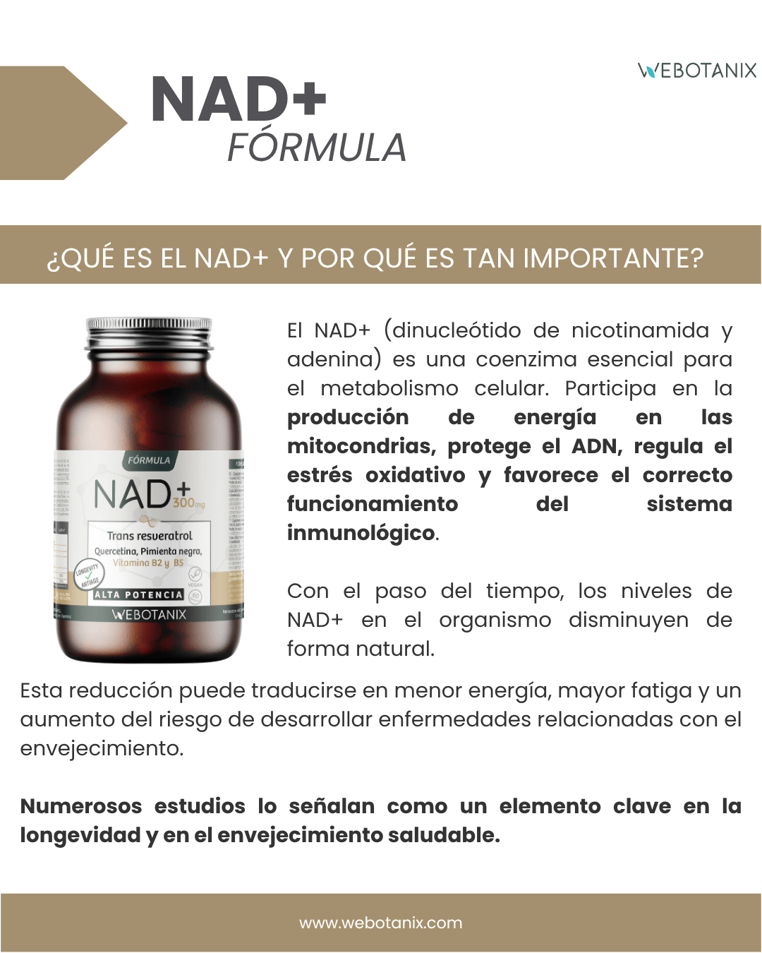 NAD+ 300 mg Trans Resveratrol WEBOTANIX 60 cápsulas
