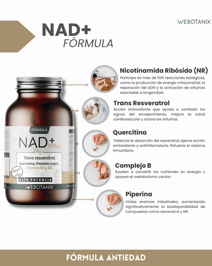 NAD+ 300 mg Trans Resveratrol WEBOTANIX 60 cápsulas