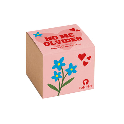 Nomeolvides – Kit Cultivo con Semillas de Myosotis, Maceta y Sustrato, Regalo Original - Resetea_0