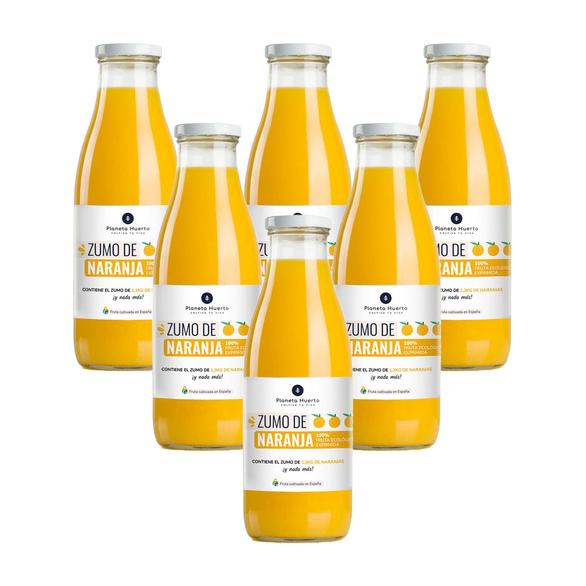 Pack 6x Zumo de Naranja 100% fruta exprimida Eco Planeta Huerto 750ml