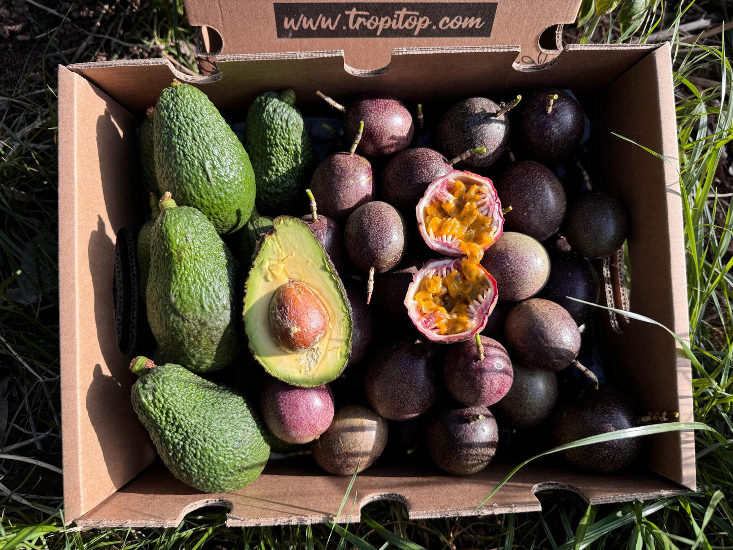 Pack 4kg Aguacate Hass Y Maracuyá (fruta De La Pasión) | 2kg De Cada Fruta_0
