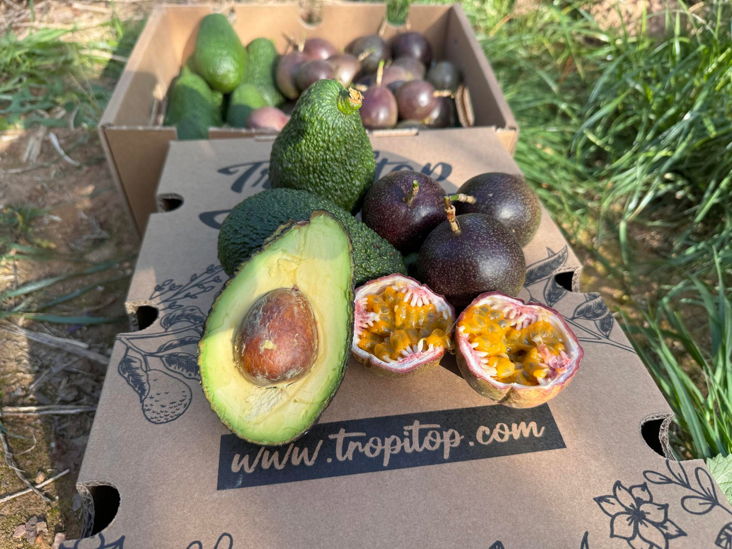 Pack 4kg Aguacate Hass Y Maracuyá (fruta De La Pasión) | 2kg De Cada Fruta_3