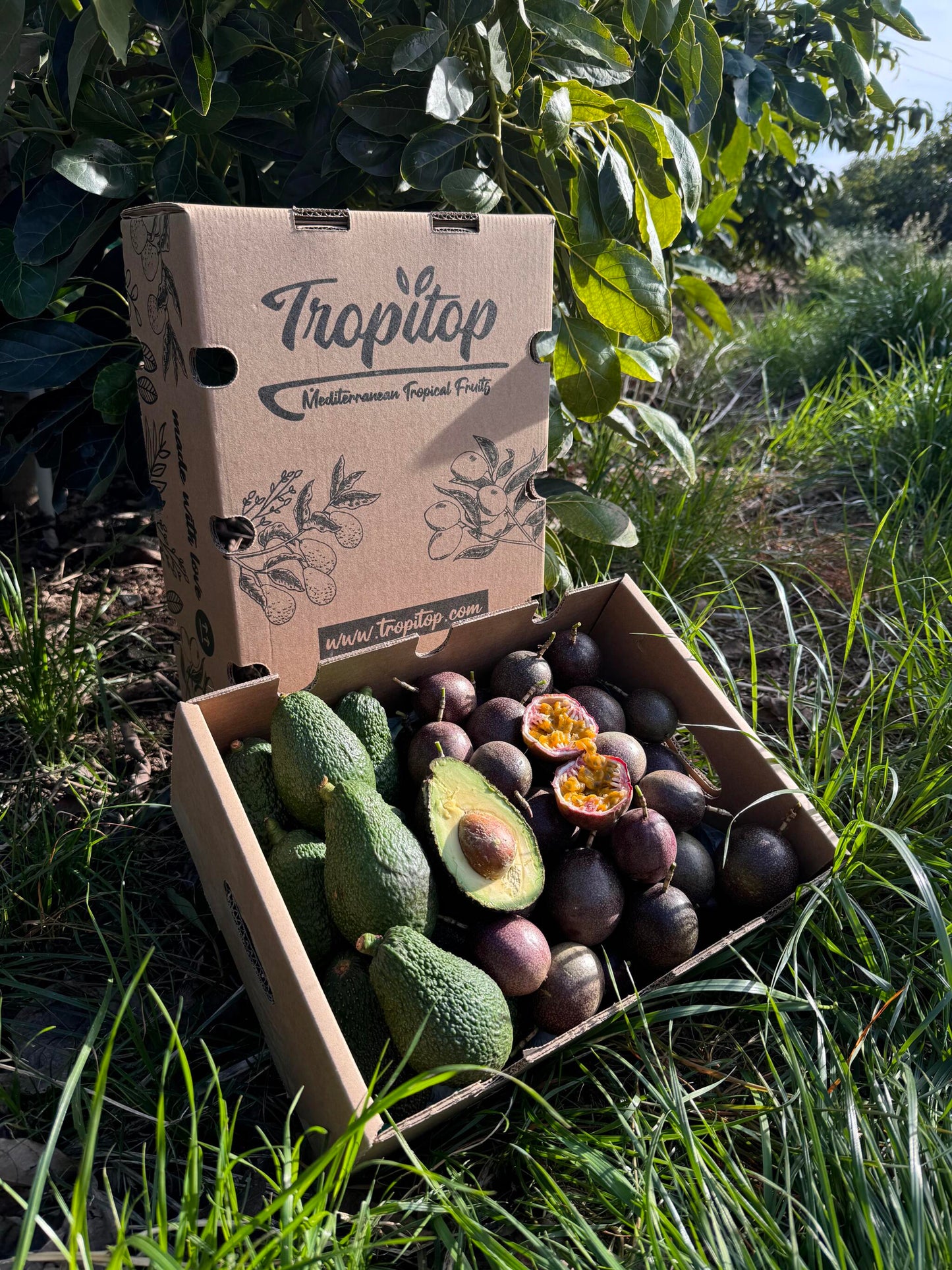 Pack 4kg Aguacate Hass Y Maracuyá (fruta De La Pasión) | 2kg De Cada Fruta_5