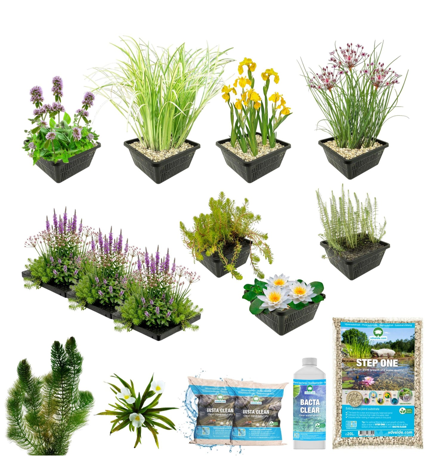 Pack Completo Estanque Autóctono 1.500-3.000l - Oxigenantes & Ribera - 200l_2