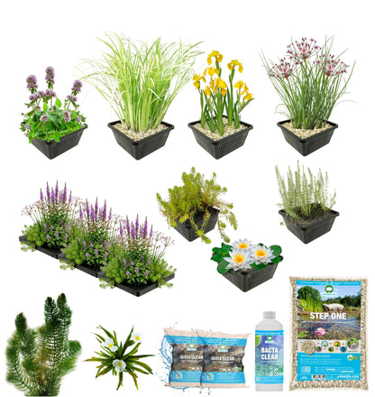 Pack Completo Estanque Autóctono 1.500-3.000l - Oxigenantes & Ribera - 200l_2