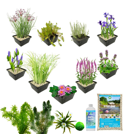Pack Completo Estanque Rosa 500-1.250l - Oxigenantes & Ribera_2