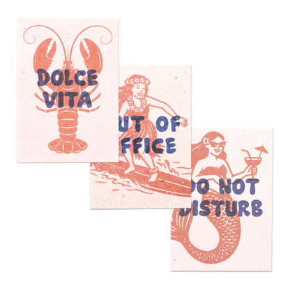 Pack De 3 Postales Plantables – Summer Mood Collection_0