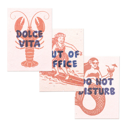 Pack De 3 Postales Plantables – Summer Mood Collection_0