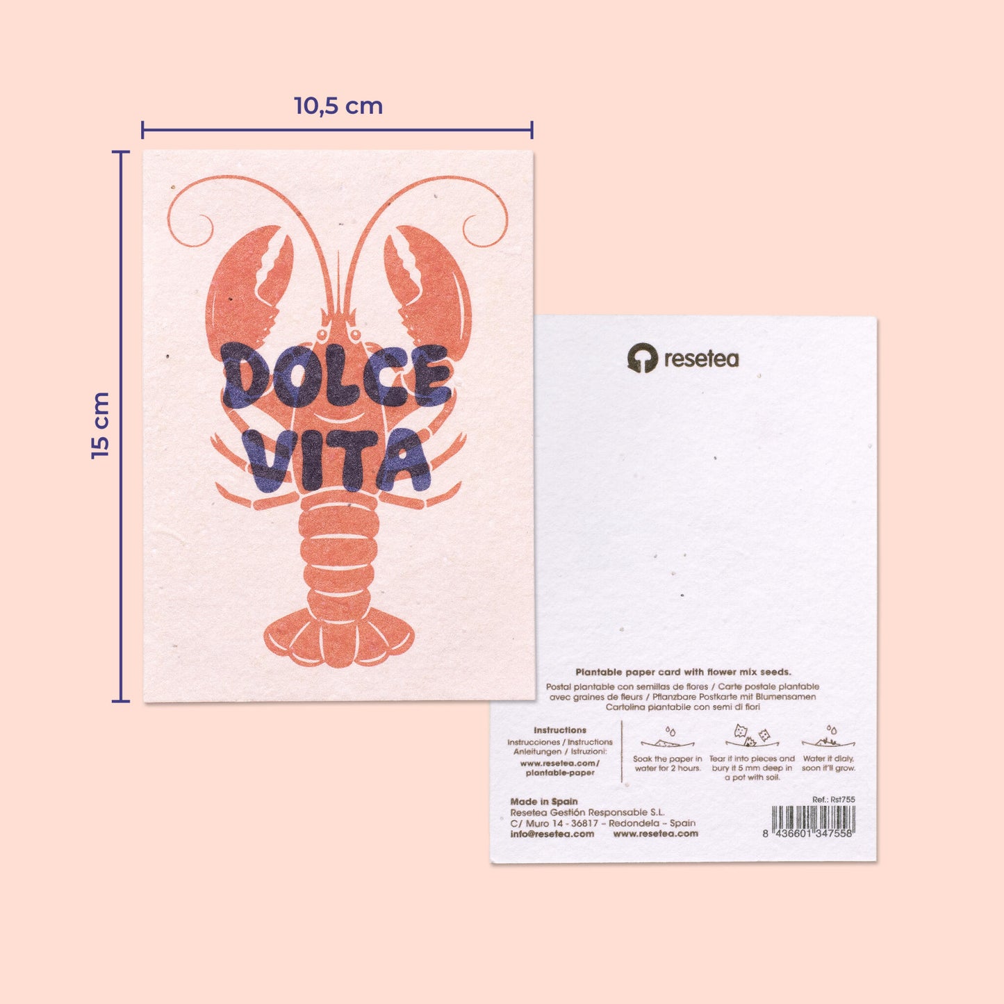 Pack De 3 Postales Plantables – Summer Mood Collection_1