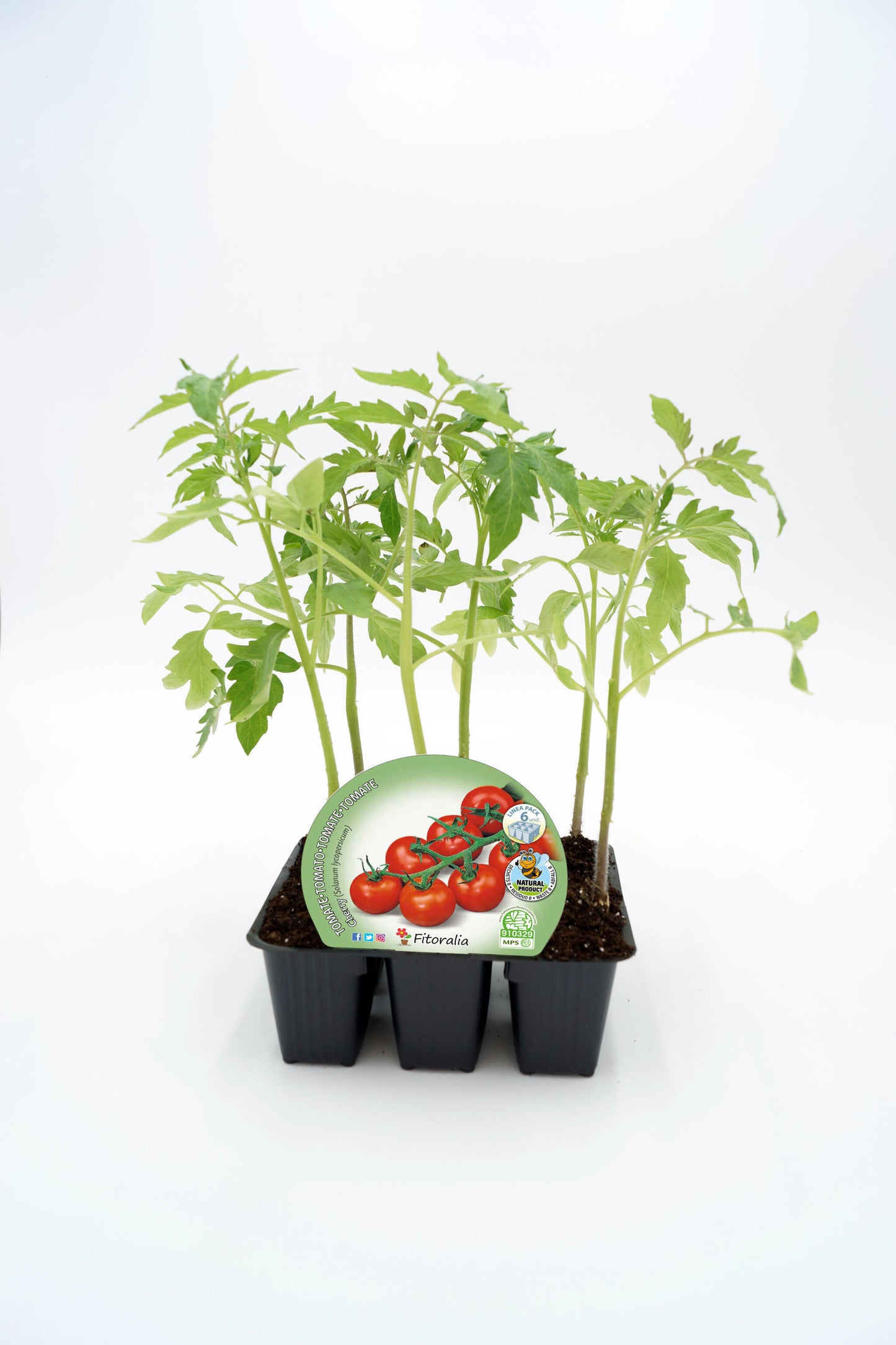 Pack Plantones Cherry Rojo 6 Ud. Natural - Fitoralia_0