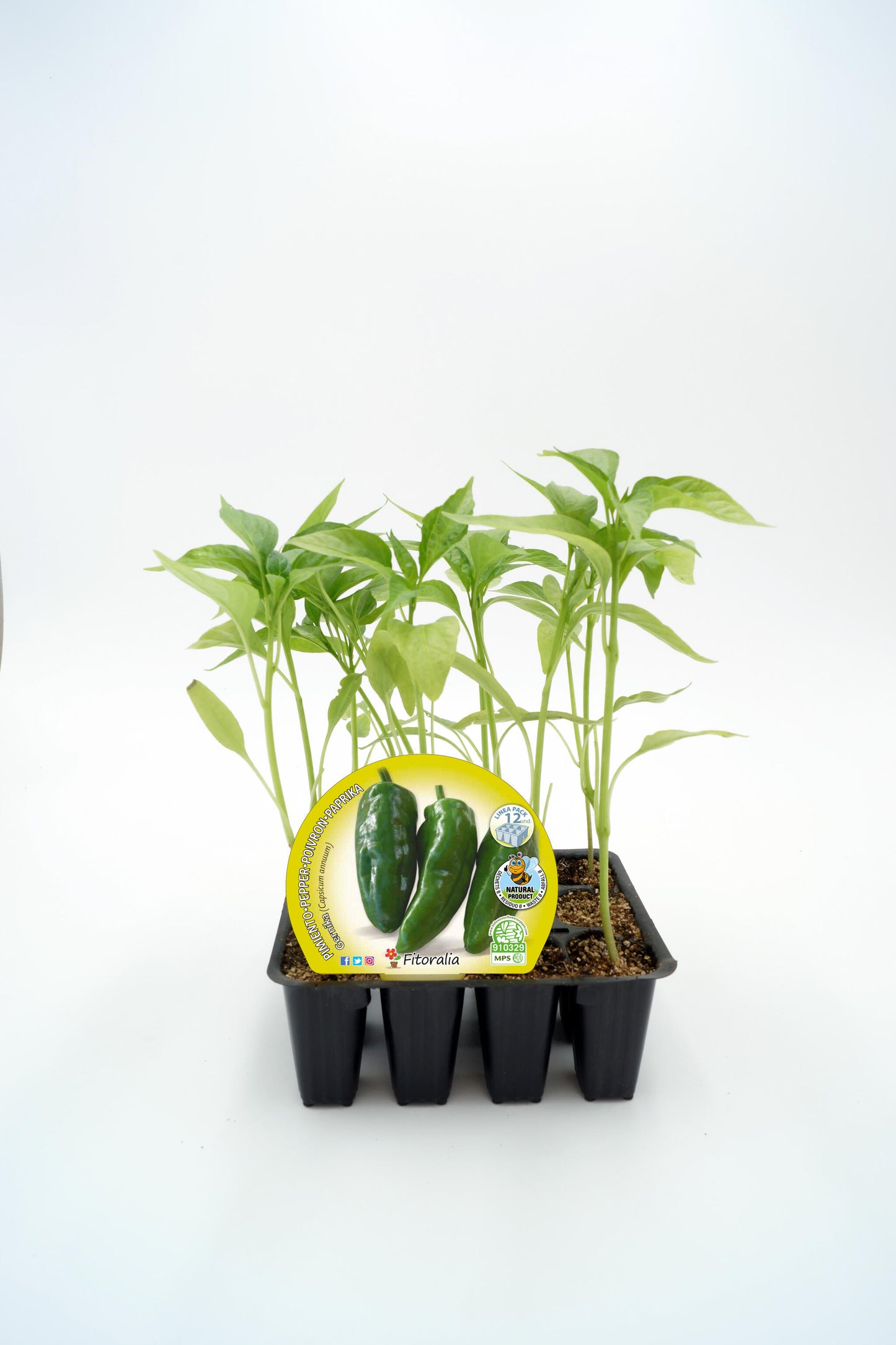 Pack Plantones Pimiento Gernika 12 Ud. Natural - Fitoralia_0
