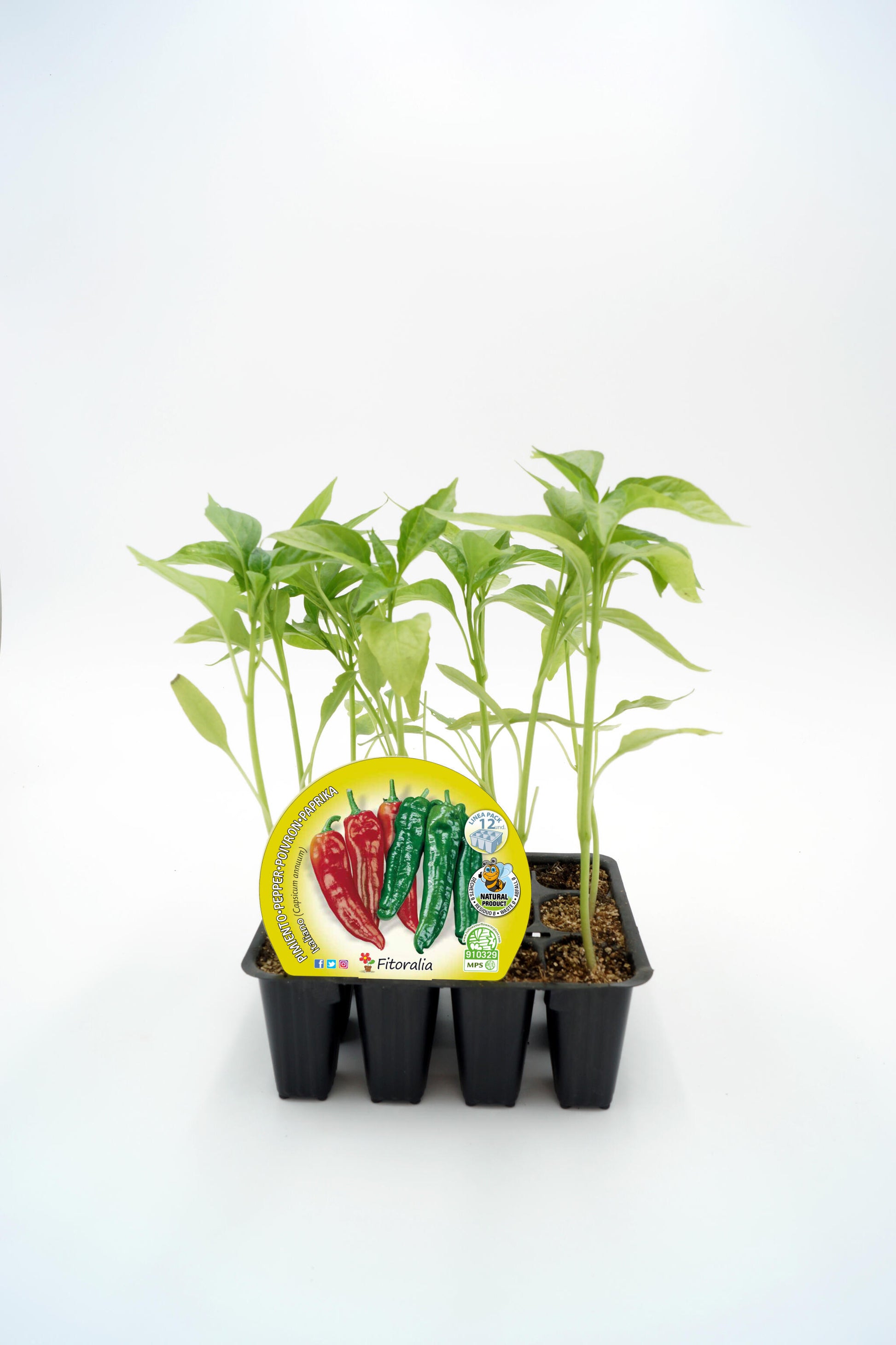 Pack Plantones Pimiento Italiano 12 Ud. Natural - Fitoralia_0