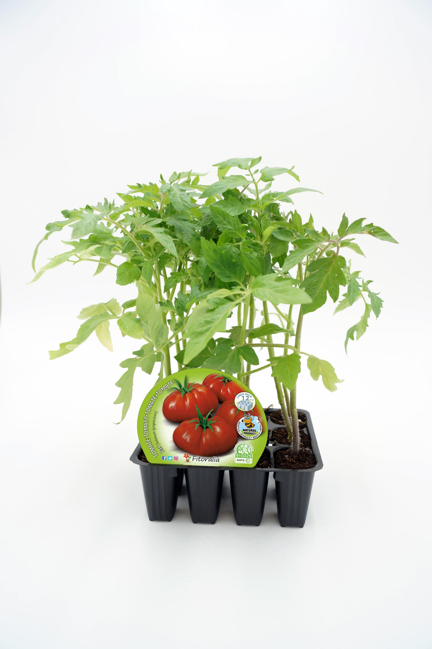 Pack Plantones Tomate Raf 12 Ud. Natural - Fitoralia_0