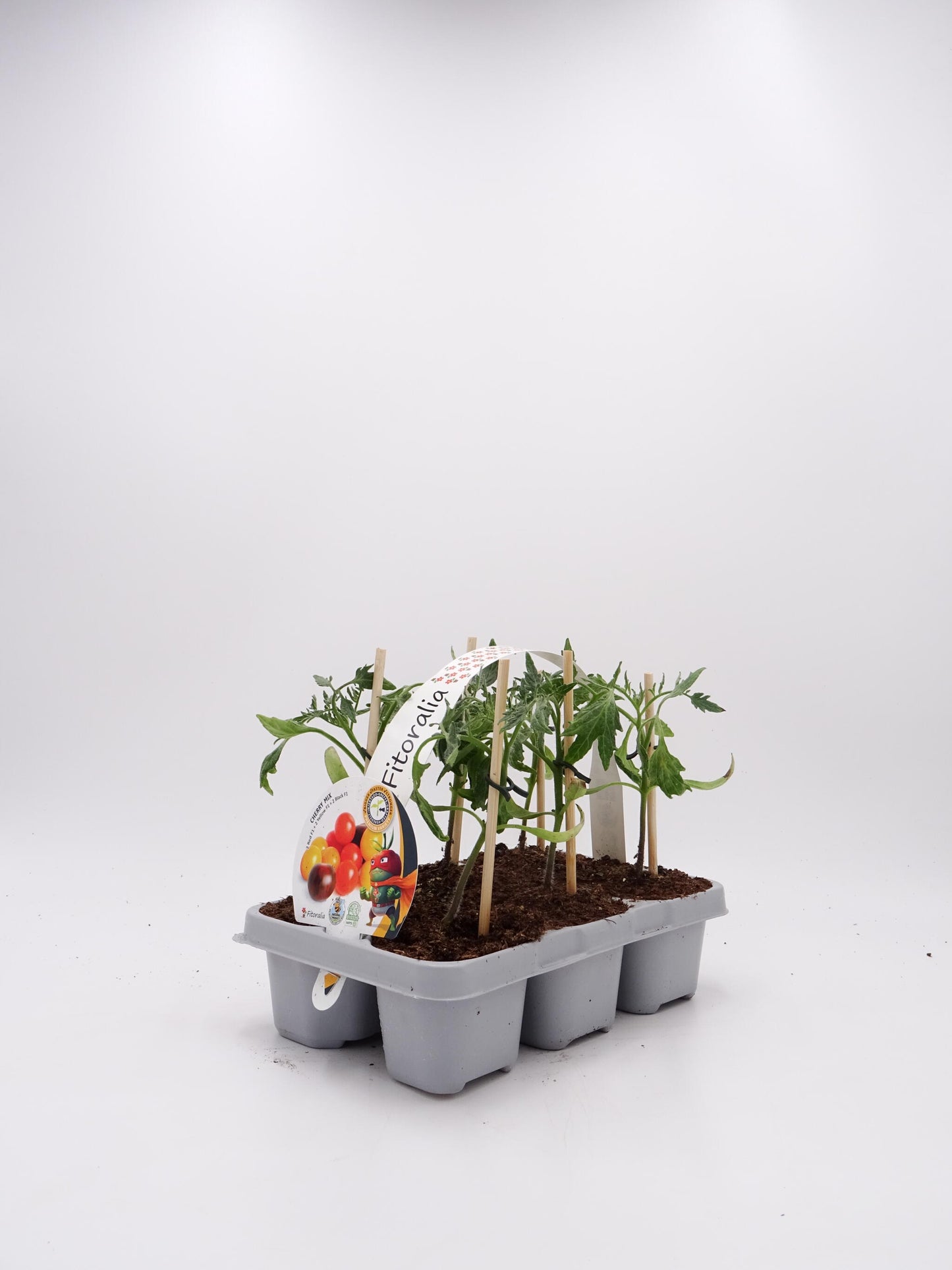 Pack Plantones Tomates Cherry Mix Injertados E Hibridos 6 Ud. Natural – Fitoralia_0