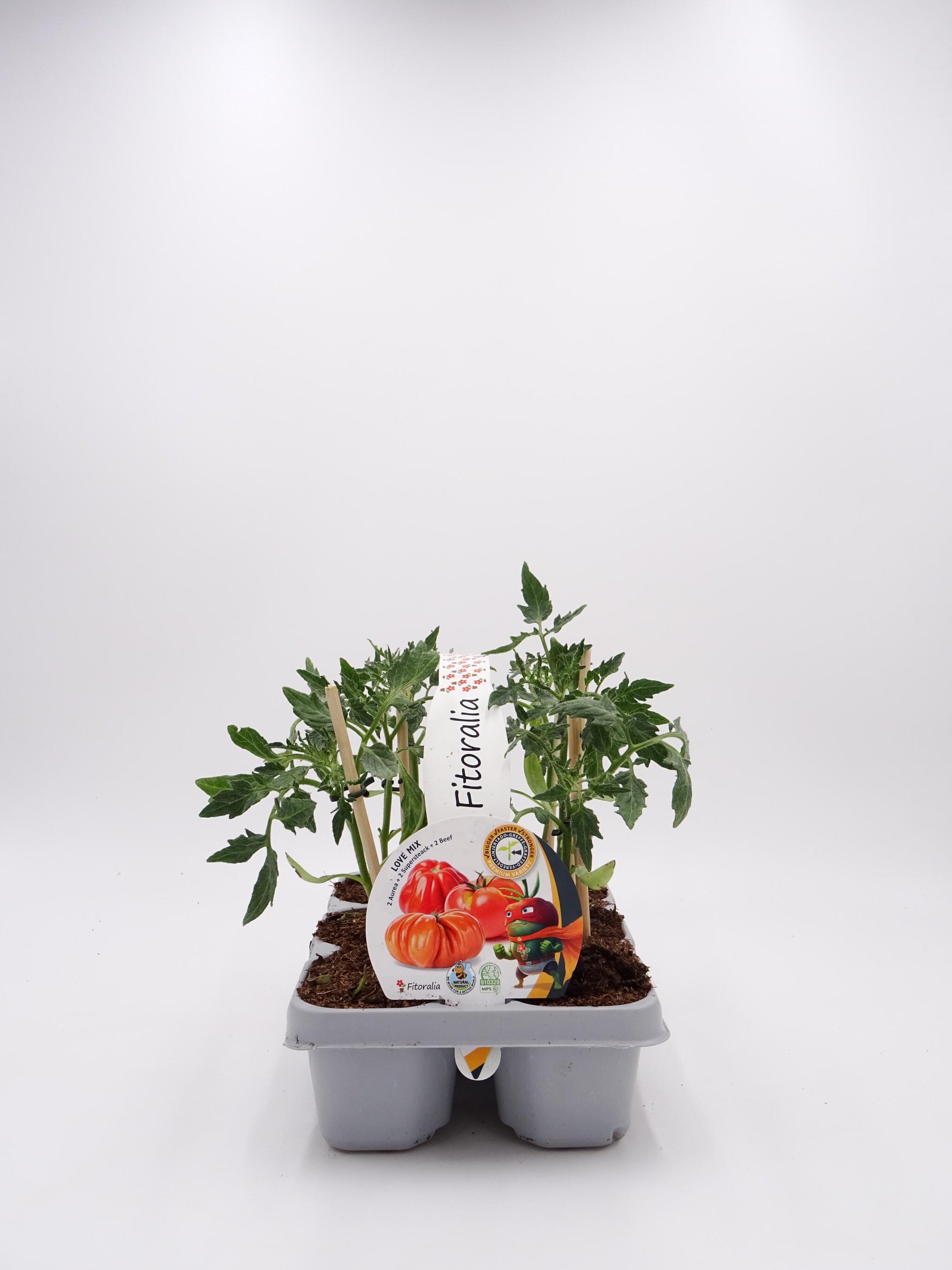 Pack Plantones Tomates Love Mix Injertados E Hibridos 6 Ud. Natural – Fitoralia_0