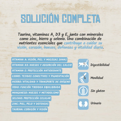 Paté Completo para Gatos de Cerdo con Pavo y Arándanos Lenda 400 g