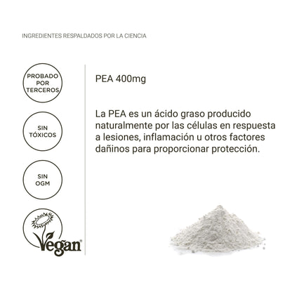 Pea palmitoiletanolamida 400mg – antiinflamatorio natural, dolor crónico y apoyo nervioso (90 cápsulas)_3