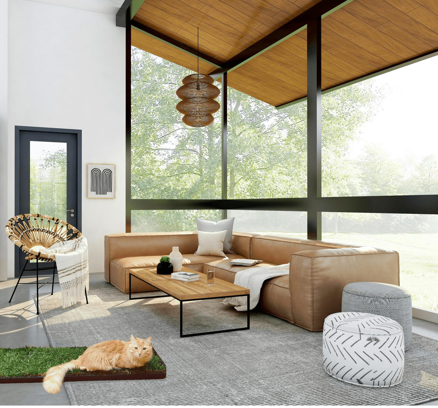 Petground, Arenero Para Gatos, Cama De Césped Natural, Hierba Gatera, Alfombra Olfativa XXL_4