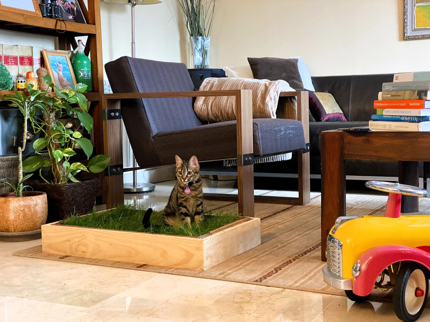Petground, Cama Para Gatos, Caja De Madera, Accesorio, Mueble Xxl: 92 X 92 Cm_4