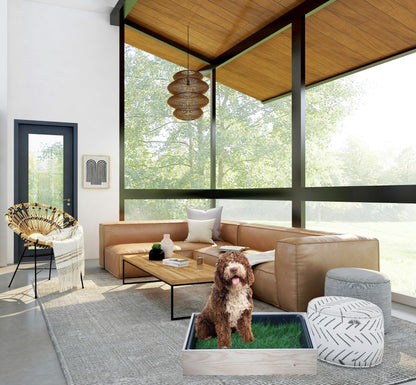 Petground, Cama Para Perros, Caja De Madera, Accesorio, Mueble, Xxl_3
