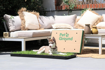 Petground, Cama Para Perros, Empapador, Alfombra Olfativa, Césped Natural, XL_3