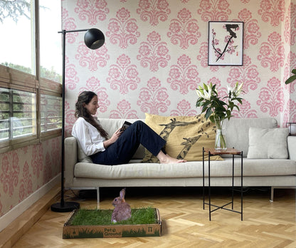 Petground, Parque Para Conejos, Casa De Césped Natural_2