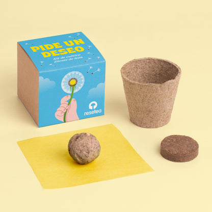 Pide Un Deseo - Kit De Cultivo Diente De León | Semillas, Maceta Y Sustrato | Regalo Original - Resetea_1