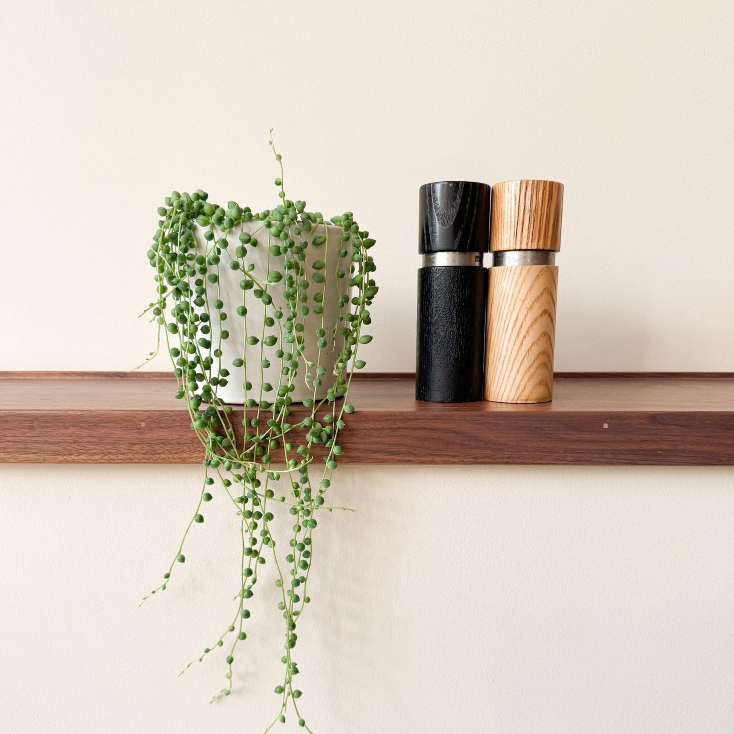 Planta Del Rosario - Senecio Rowleyanus - Altura 10-20cm - ⌀12cm_4