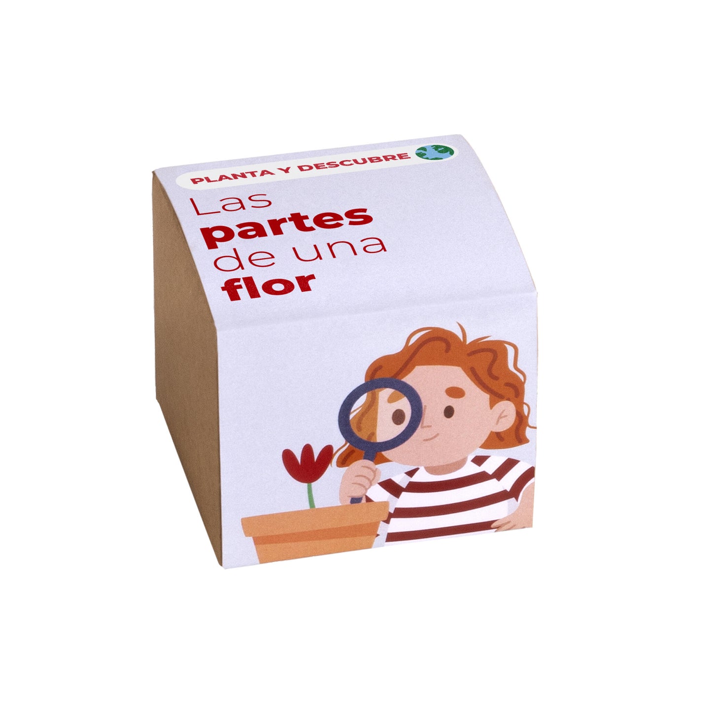 Planta Y Descubre | Kit Educativo Partes De Una Flor | Aprende Botánica Paso A Paso Para Niños (stem)_0
