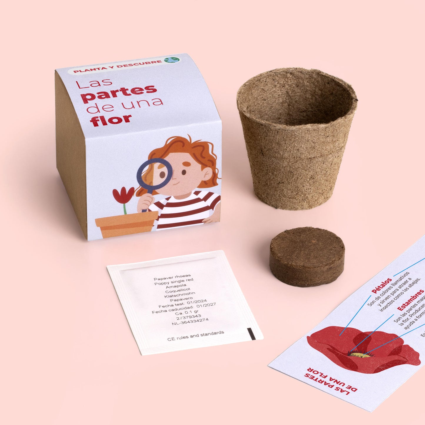 Planta Y Descubre | Kit Educativo Partes De Una Flor | Aprende Botánica Paso A Paso Para Niños (stem)_1