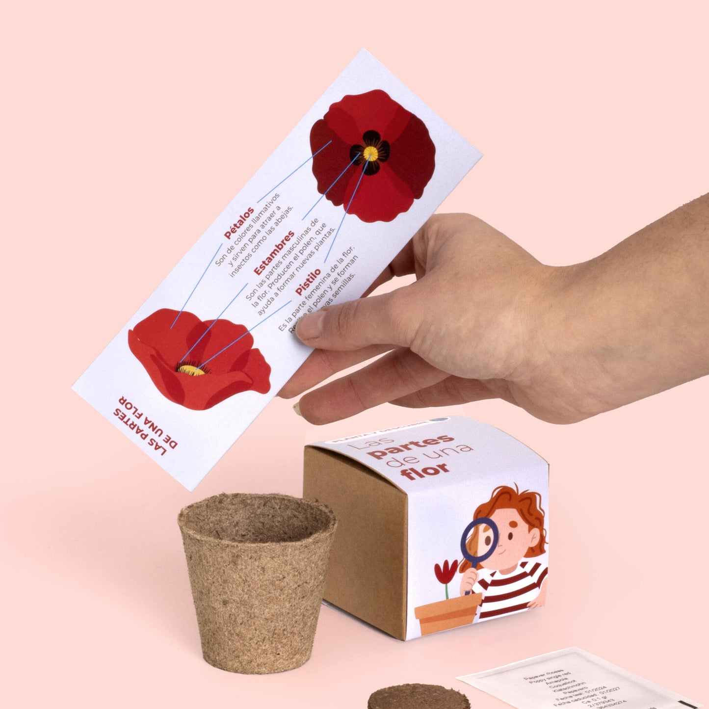 Planta Y Descubre | Kit Educativo Partes De Una Flor | Aprende Botánica Paso A Paso Para Niños (stem)_3