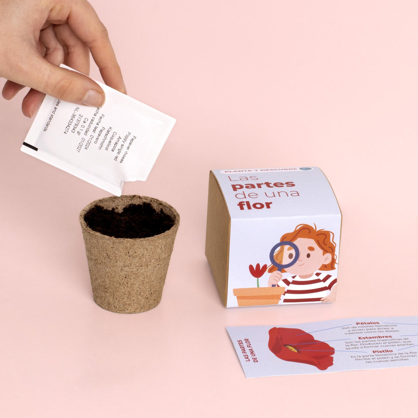 Planta Y Descubre | Kit Educativo Partes De Una Flor | Aprende Botánica Paso A Paso Para Niños (stem)_4