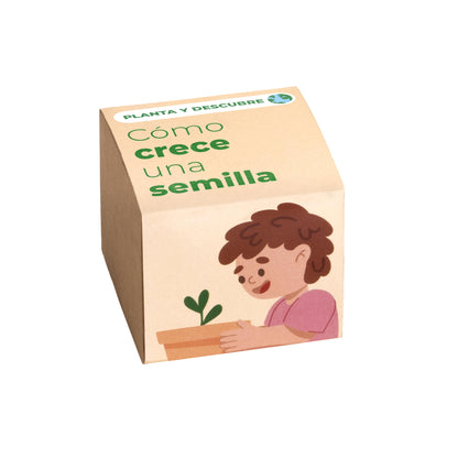 Planta Y Descubre | Kit Germinación Para Niños | Aprende Cómo Crece Una Semilla Paso A Paso (stem)_0