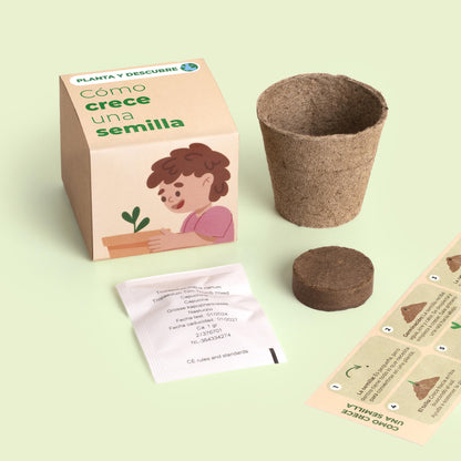 Planta Y Descubre | Kit Germinación Para Niños | Aprende Cómo Crece Una Semilla Paso A Paso (stem)_1
