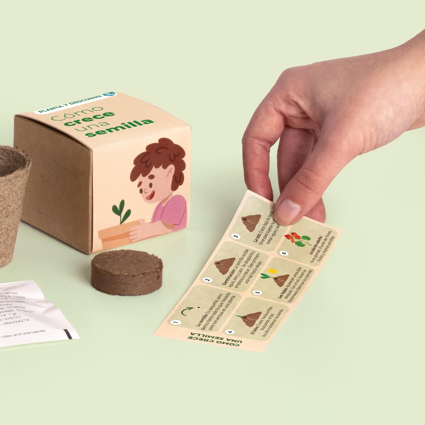 Planta Y Descubre | Kit Germinación Para Niños | Aprende Cómo Crece Una Semilla Paso A Paso (stem)_3