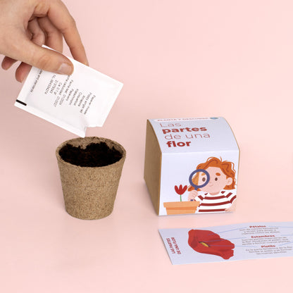 Planta y Descubre – Kit Educativo Partes de una Flor, Aprende Botánica para Niños (STEM) - Resetea_4