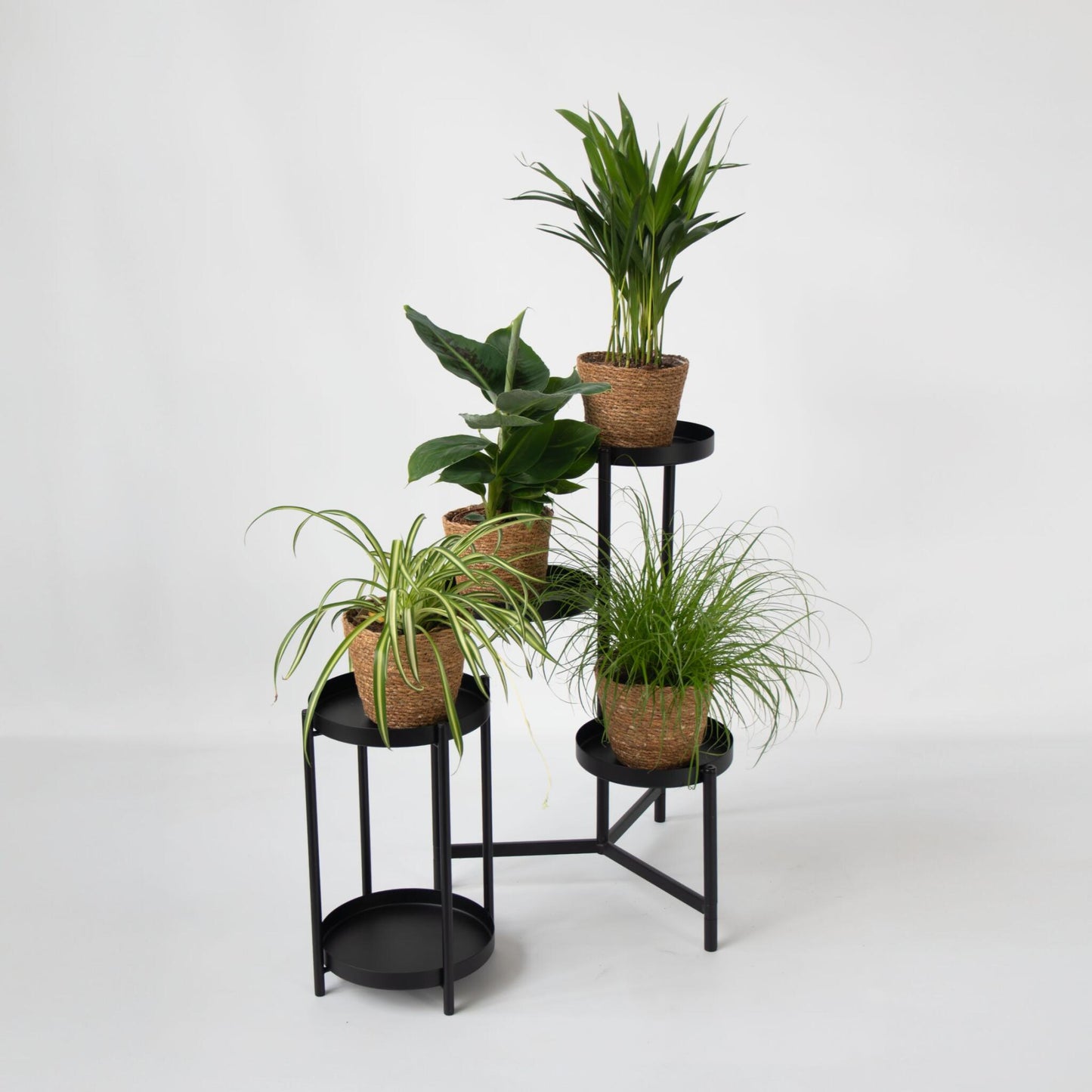 Plantas Seguras Mascotas - Set 4 Cestas - Alt.25-40cm - ⌀12cm_1