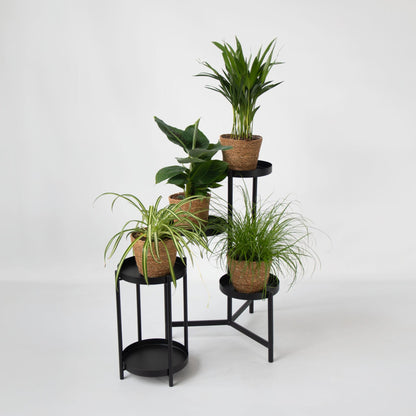 Plantas Seguras Mascotas - Set 4 Cestas - Alt.25-40cm - ⌀12cm_1