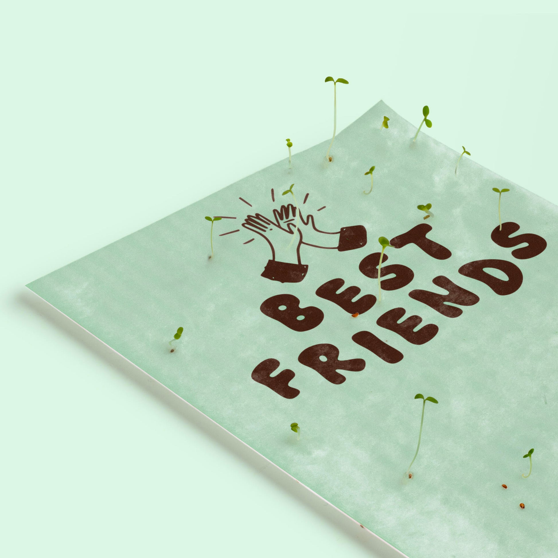 Postal Plantable Best Friends Con Semillas De Tomate – Papel De Algodón Reciclado - Resetea_2