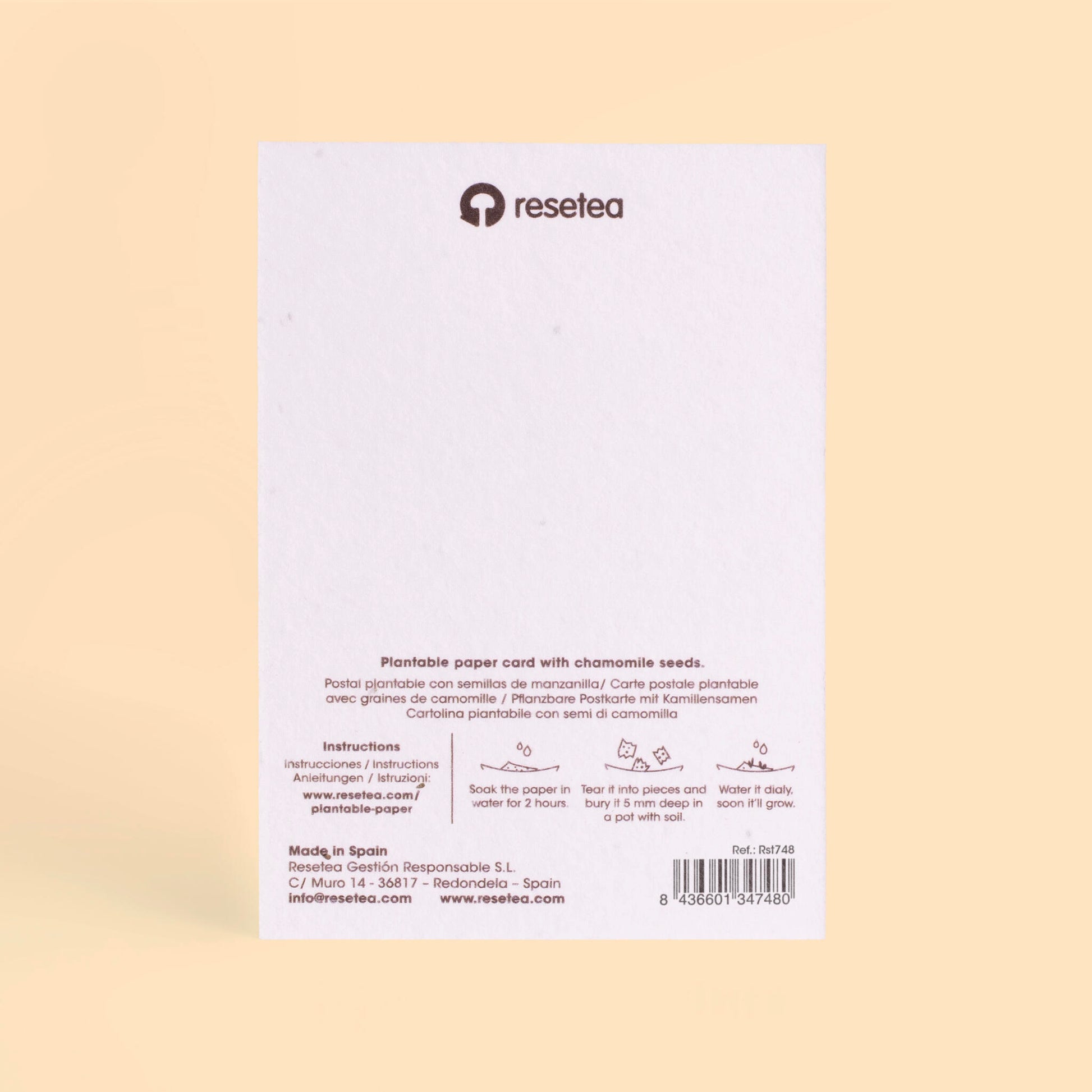 Postal Plantable Enjoy The Little Things Con Semillas De Manzanilla – Papel Reciclado - Resetea_1