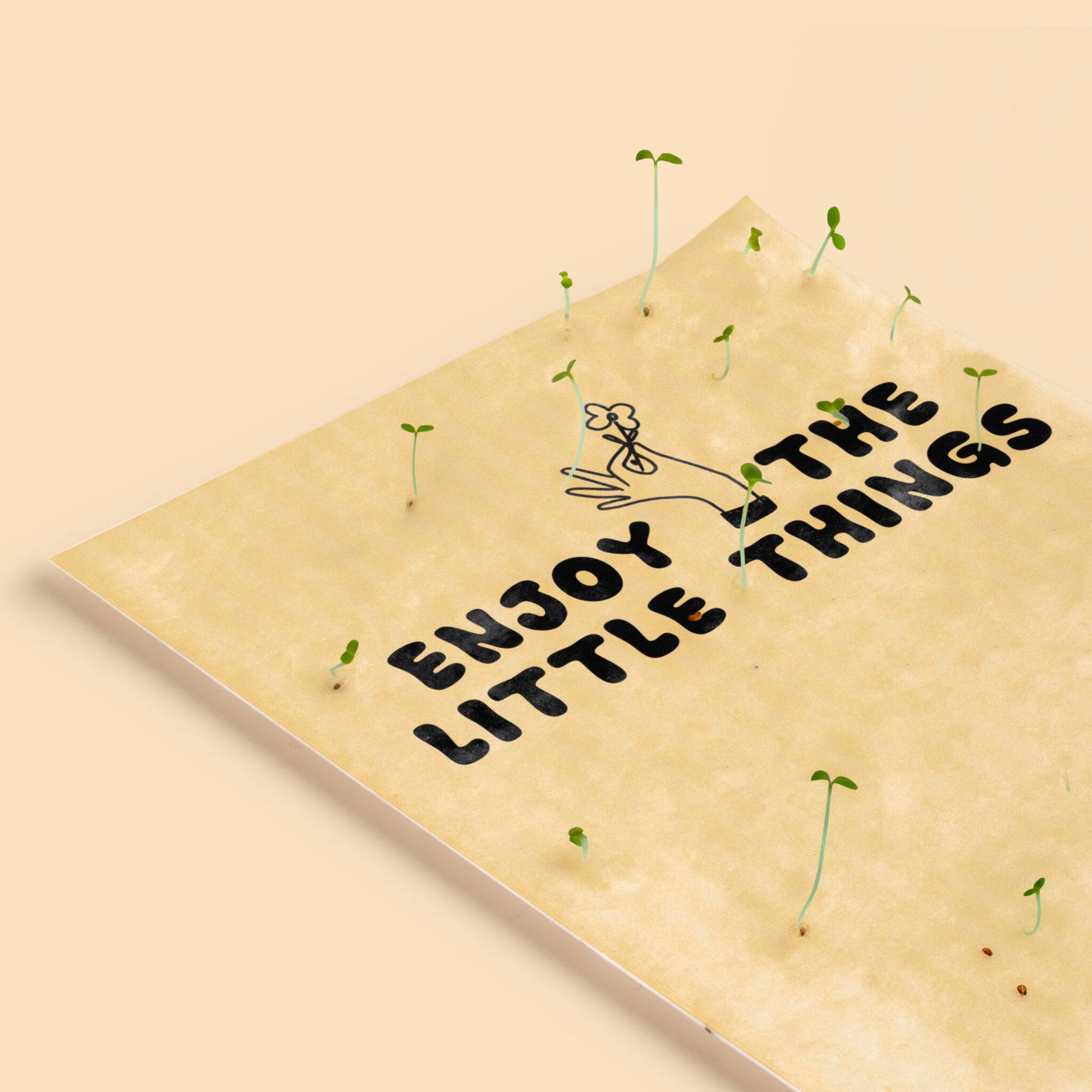 Postal Plantable Enjoy The Little Things Con Semillas De Manzanilla – Papel Reciclado - Resetea_3
