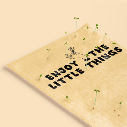 Postal Plantable Enjoy The Little Things Con Semillas De Manzanilla – Papel Reciclado - Resetea_3