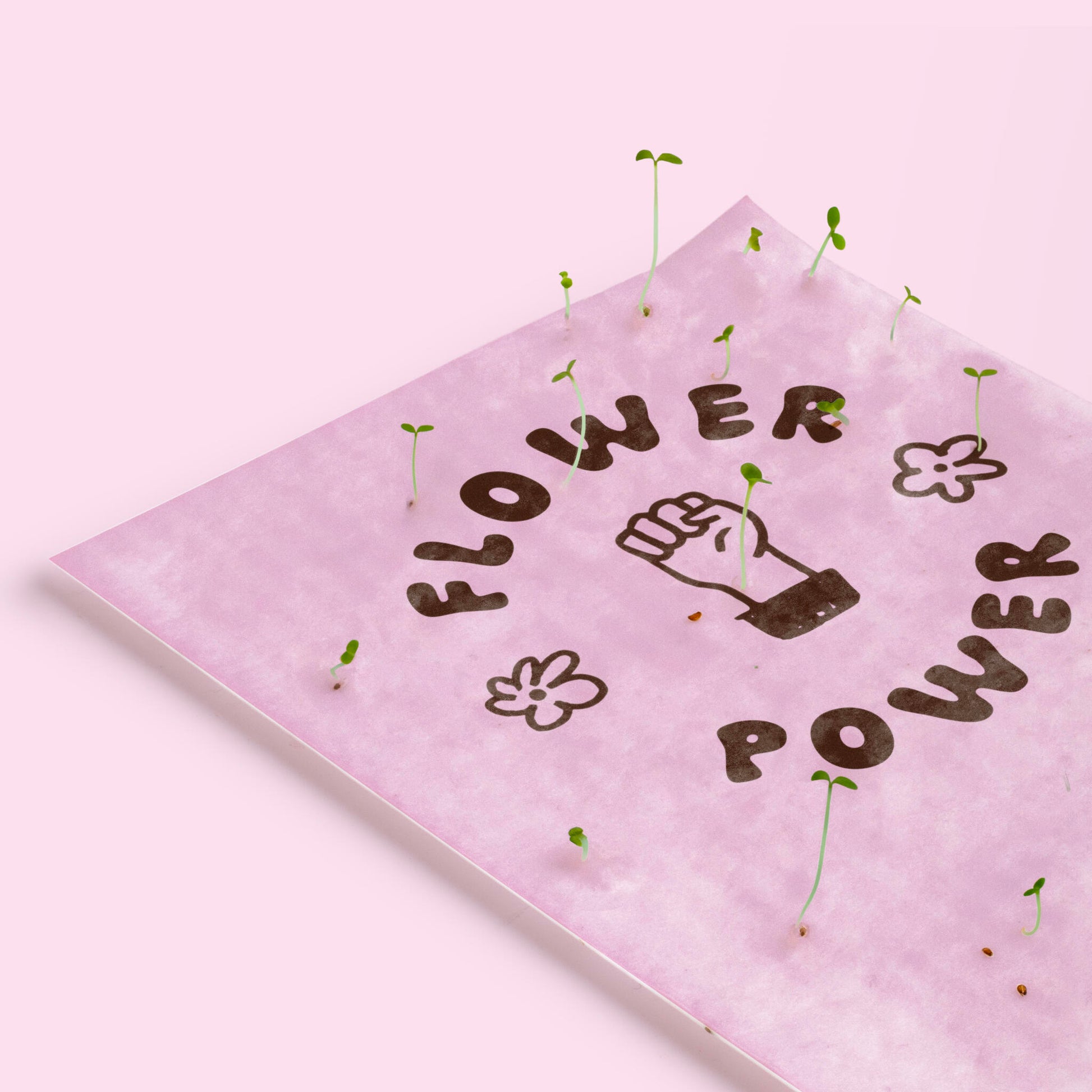 Postal Plantable Flower Power Con Semillas De Flores – Papel De Algodón Reciclado - Resetea_2
