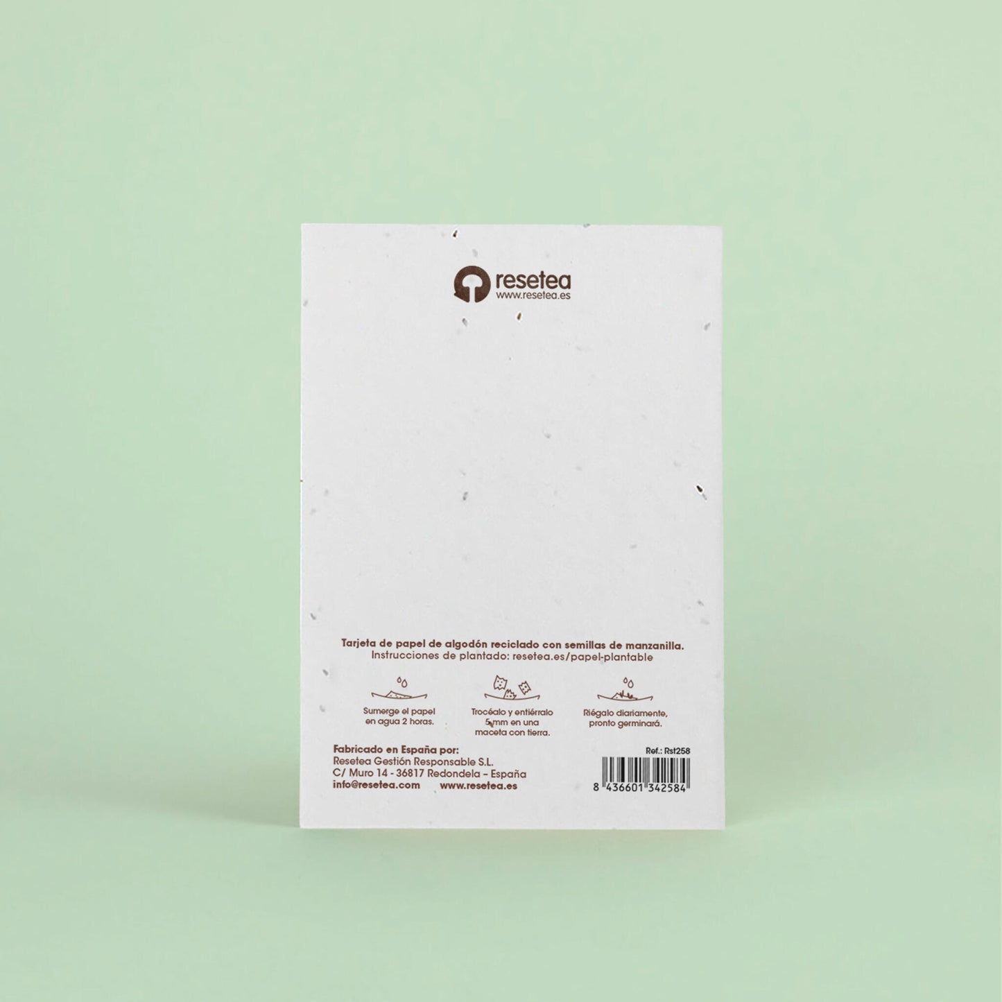 Postal Plantable Los Deseos Que Se Plantan Se Cumplen Con Semillas De Manzanilla | Regalo Original Que Florece_1