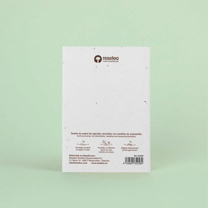 Postal Plantable Los Deseos Que Se Plantan Se Cumplen Con Semillas De Manzanilla | Regalo Original Que Florece_1
